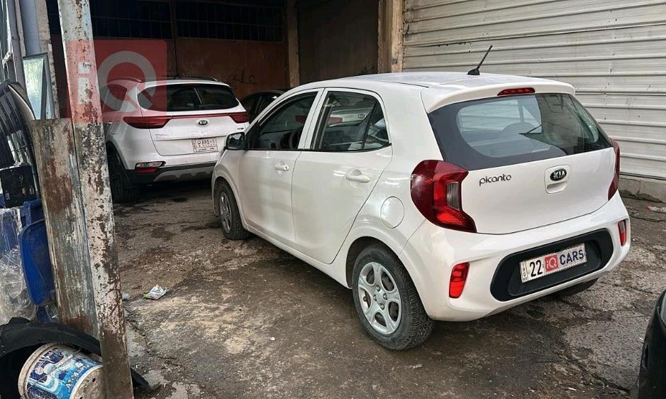 كيا بيكانتو